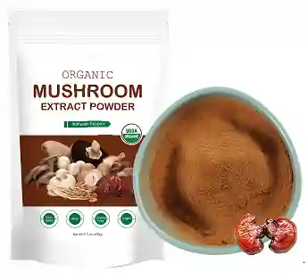 Organic Reishi Mushroom Powder